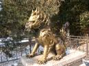 Dragon Lion * Dragon Lion * 2272 x 1704 * (1.3MB)